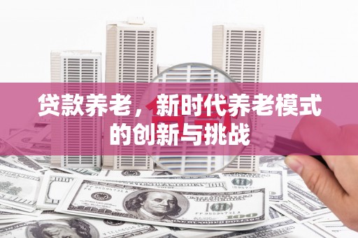颍泉贷款养老，新时代养老模式的创新与挑战