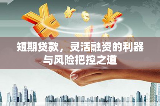 颍泉短期贷款，灵活融资的利器与风险把控之道