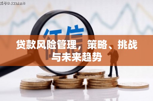 颍泉贷款风险管理，策略、挑战与未来趋势