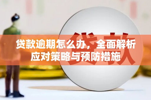 颍泉贷款逾期怎么办，全面解析应对策略与预防措施