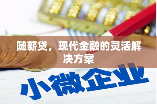 颍泉随薪贷，现代金融的灵活解决方案