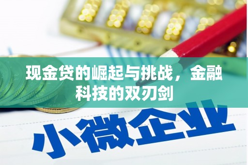 颍泉现金贷的崛起与挑战，金融科技的双刃剑