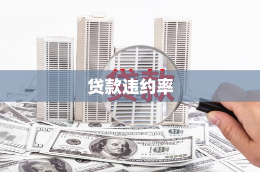 颍泉贷款违约率