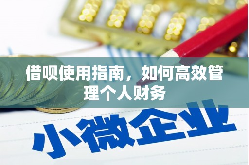 颍泉借呗使用指南，如何高效管理个人财务