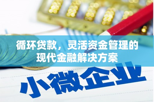 颍泉循环贷款，灵活资金管理的现代金融解决方案
