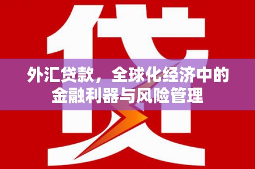 颍泉外汇贷款，全球化经济中的金融利器与风险管理