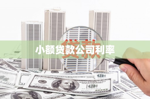 颍泉小额贷款公司利率