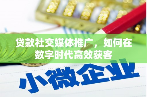 颍泉贷款社交媒体推广，如何在数字时代高效获客