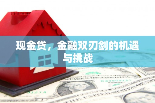 颍泉现金贷，金融双刃剑的机遇与挑战