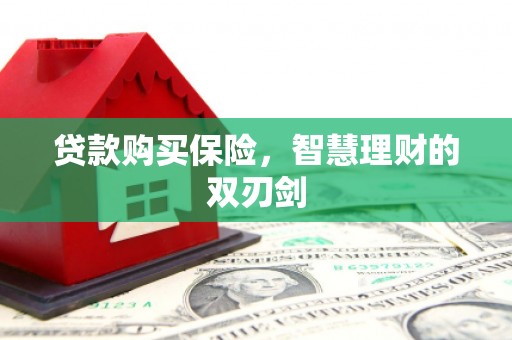 颍泉贷款购买保险，智慧理财的双刃剑