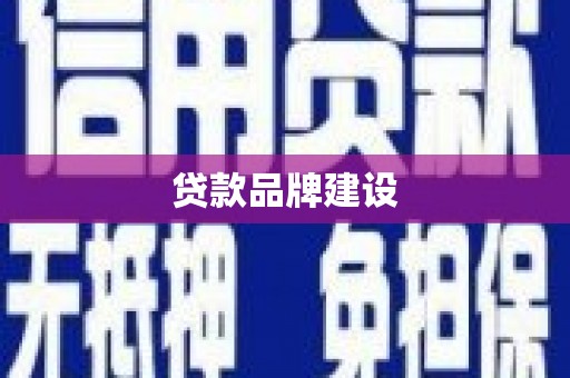 颍泉贷款品牌建设
