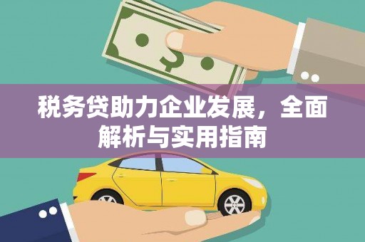颍泉税务贷助力企业发展，全面解析与实用指南