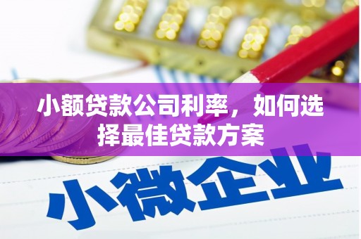 颍泉小额贷款公司利率，如何选择最佳贷款方案