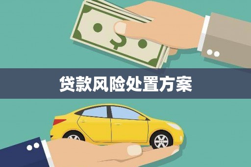 颍泉贷款风险处置方案
