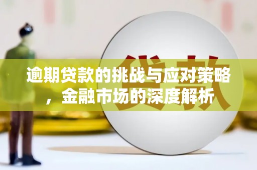 颍泉逾期贷款的挑战与应对策略，金融市场的深度解析
