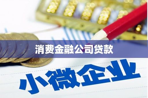 颍泉消费金融公司贷款