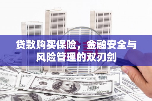 颍泉贷款购买保险，金融安全与风险管理的双刃剑