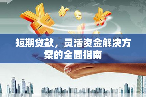 颍泉短期贷款，灵活资金解决方案的全面指南