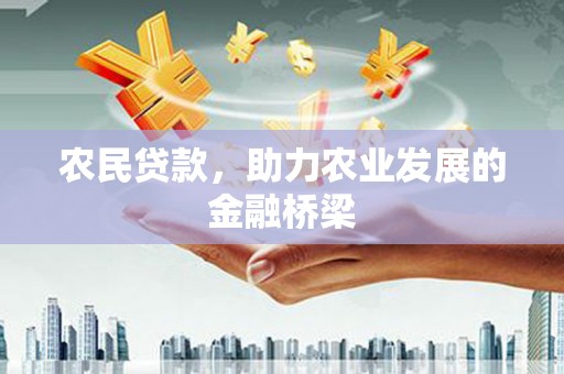 颍泉农民贷款，助力农业发展的金融桥梁