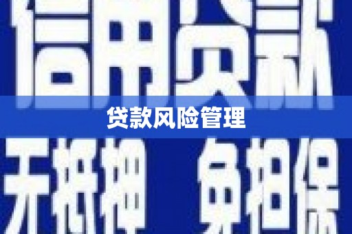 颍泉贷款风险管理