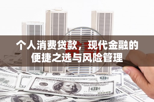 颍泉个人消费贷款，现代金融的便捷之选与风险管理
