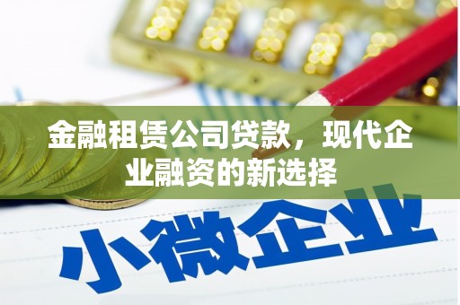 颍泉金融租赁公司贷款，现代企业融资的新选择