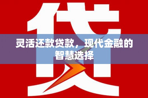 颍泉灵活还款贷款，现代金融的智慧选择