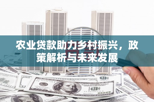 颍泉农业贷款助力乡村振兴，政策解析与未来发展