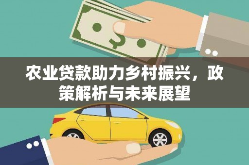 颍泉农业贷款助力乡村振兴，政策解析与未来展望