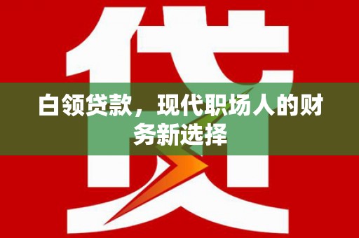 颍泉白领贷款，现代职场人的财务新选择