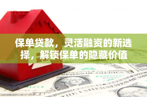 颍泉保单贷款，灵活融资的新选择，解锁保单的隐藏价值