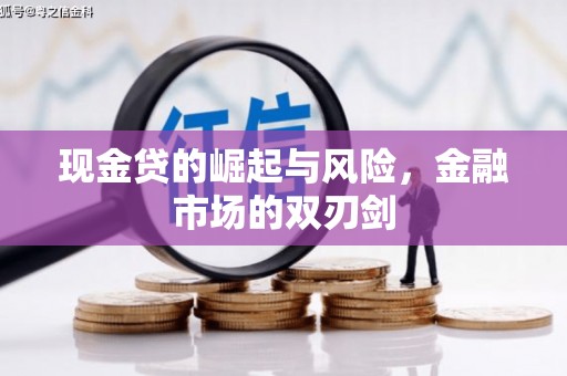颍泉现金贷的崛起与风险，金融市场的双刃剑