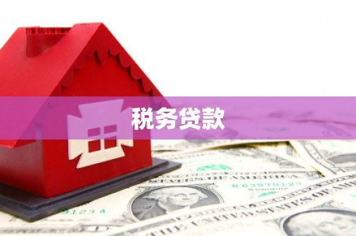 颍泉税务贷款