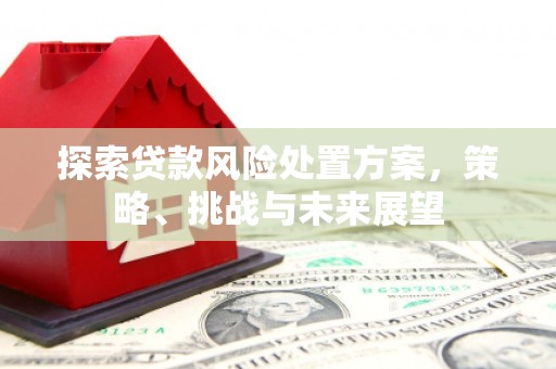 颍泉探索贷款风险处置方案，策略、挑战与未来展望