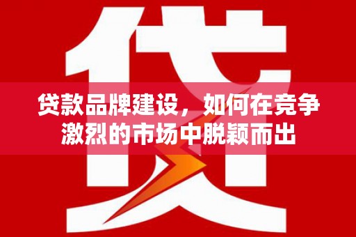 颍泉贷款品牌建设，如何在竞争激烈的市场中脱颖而出