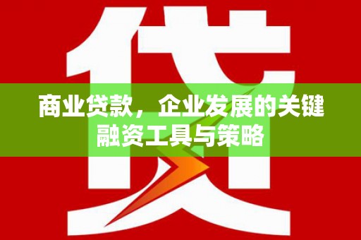 颍泉商业贷款，企业发展的关键融资工具与策略
