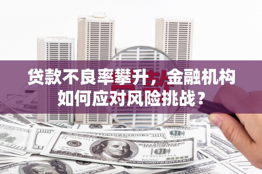 颍泉贷款不良率攀升，金融机构如何应对风险挑战？