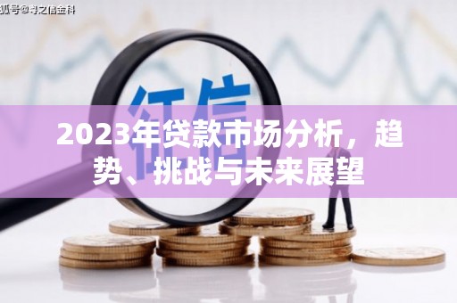 颍泉2023年贷款市场分析，趋势、挑战与未来展望