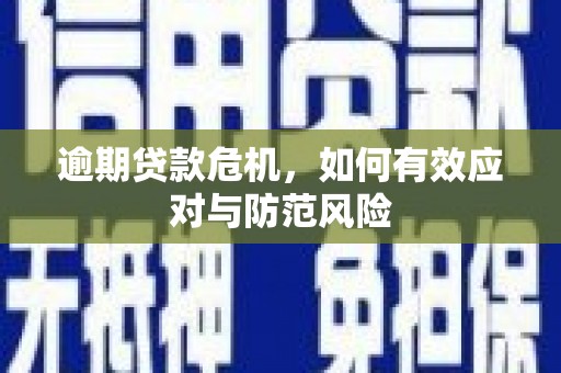 颍泉逾期贷款危机，如何有效应对与防范风险
