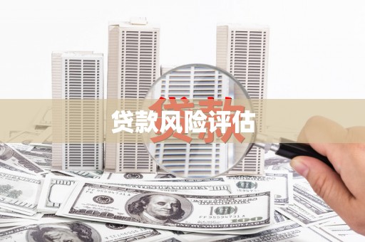 颍泉贷款风险评估