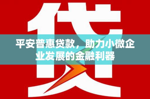 颍泉平安普惠贷款，助力小微企业发展的金融利器