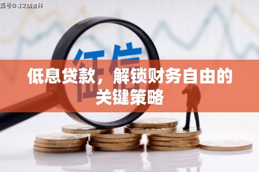 颍泉低息贷款，解锁财务自由的关键策略