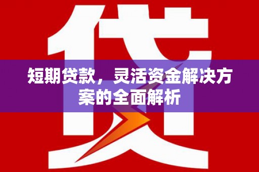颍泉短期贷款，灵活资金解决方案的全面解析