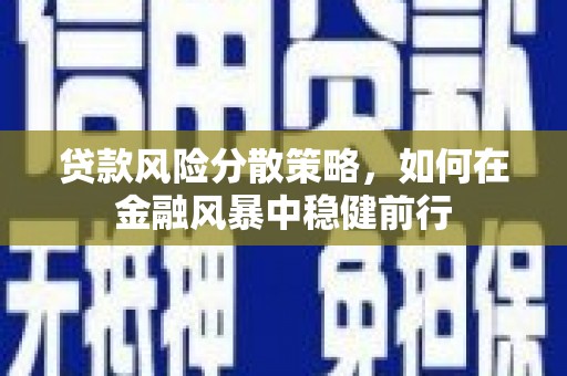 颍泉贷款风险分散策略，如何在金融风暴中稳健前行
