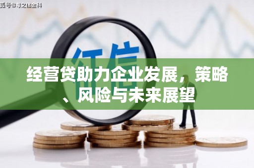 颍泉经营贷助力企业发展，策略、风险与未来展望