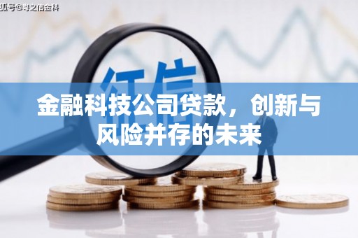 颍泉金融科技公司贷款，创新与风险并存的未来