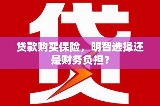 颍泉贷款购买保险，明智选择还是财务负担？