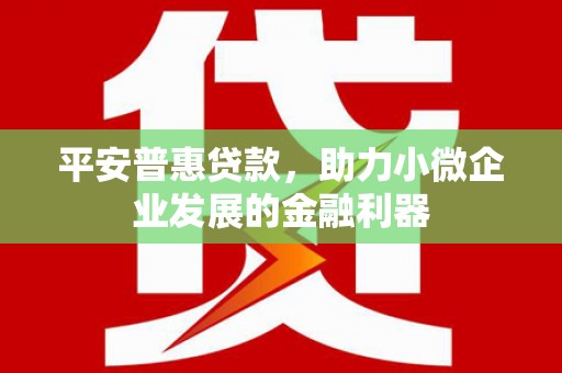 颍泉平安普惠贷款，助力小微企业发展的金融利器