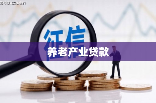 颍泉养老产业贷款