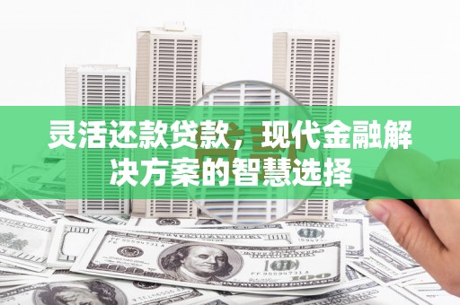 颍泉灵活还款贷款，现代金融解决方案的智慧选择